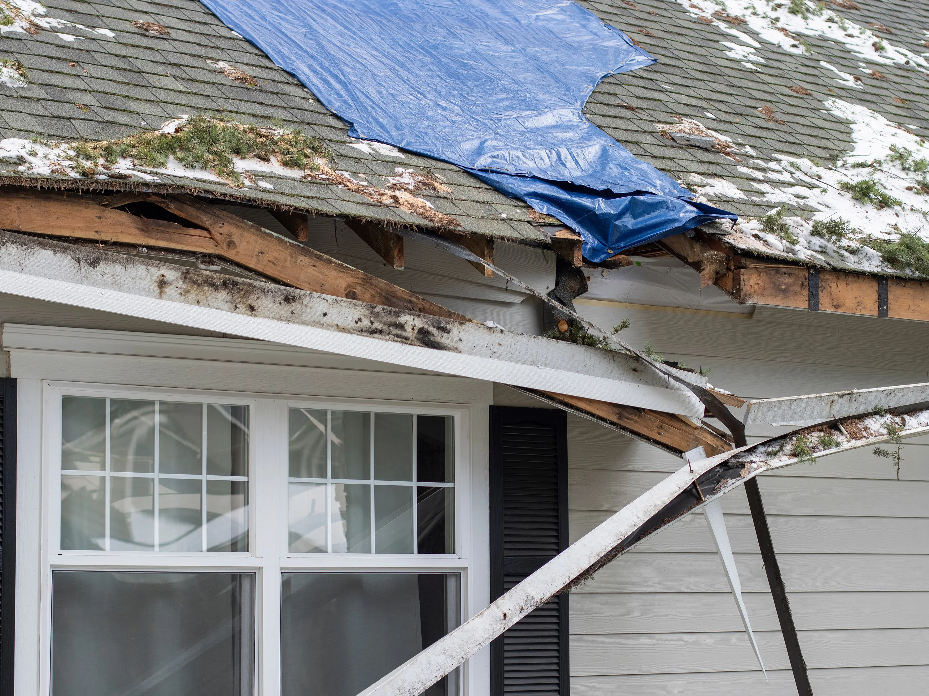 Roof with storm damage