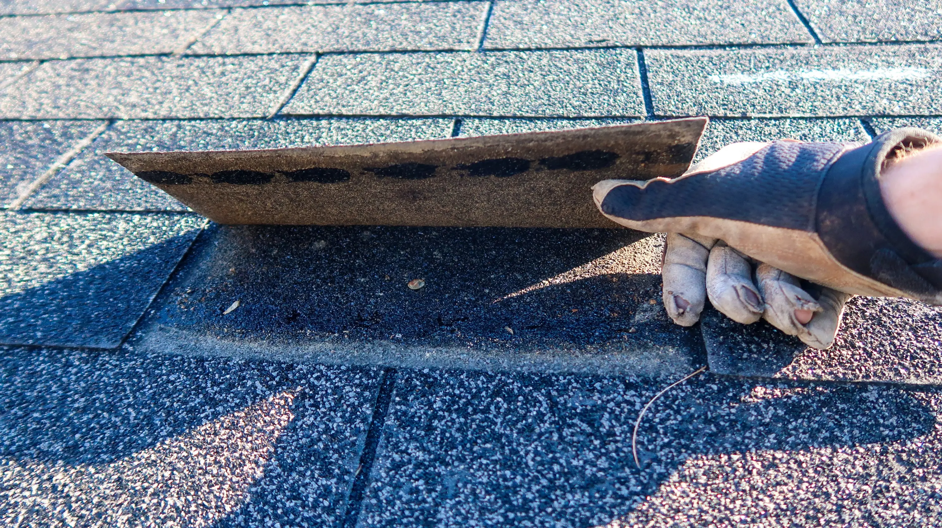 Gloved hand lifting a storm-damaged asphalt shingle