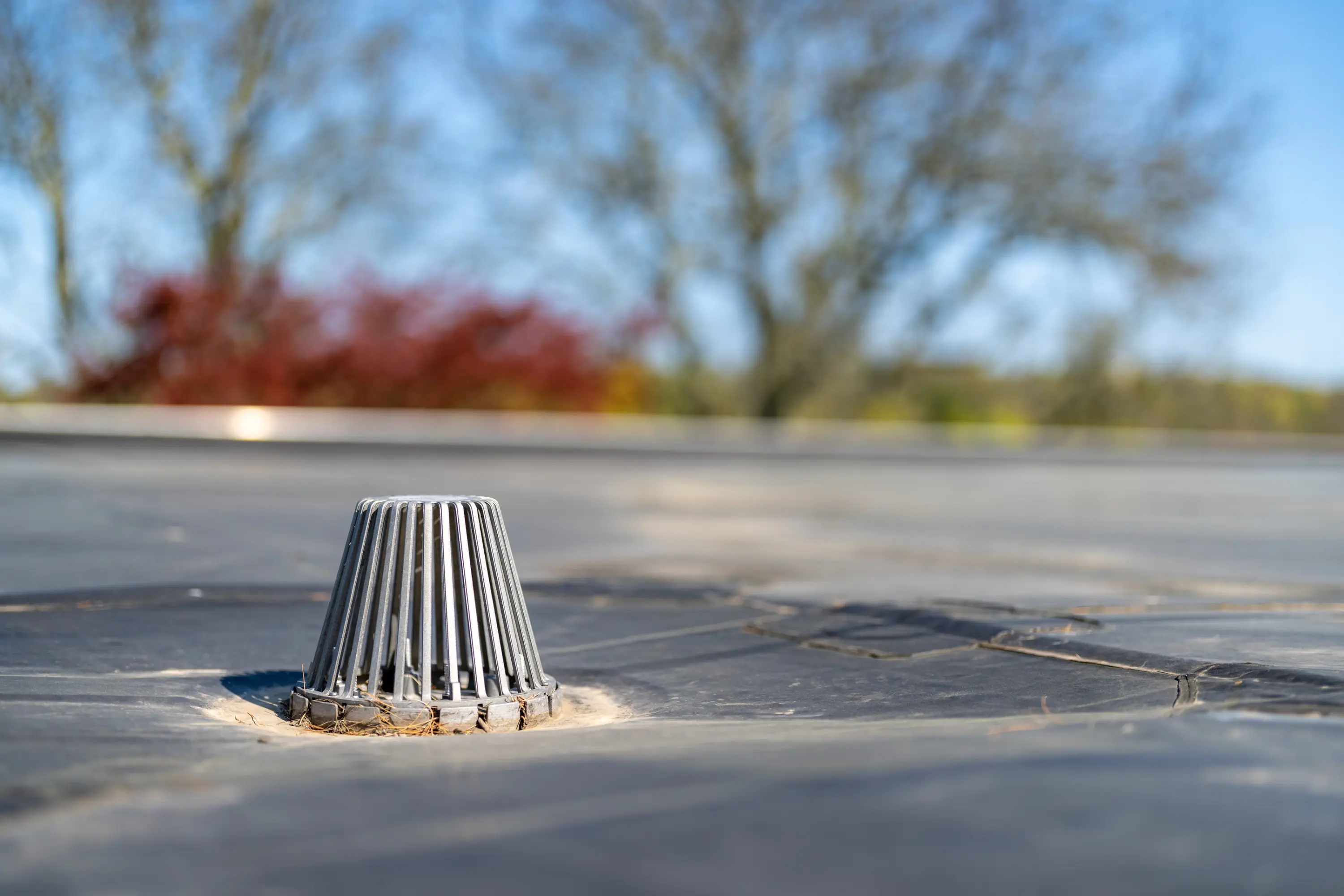 Roof drain strainer on a commercial flat roof