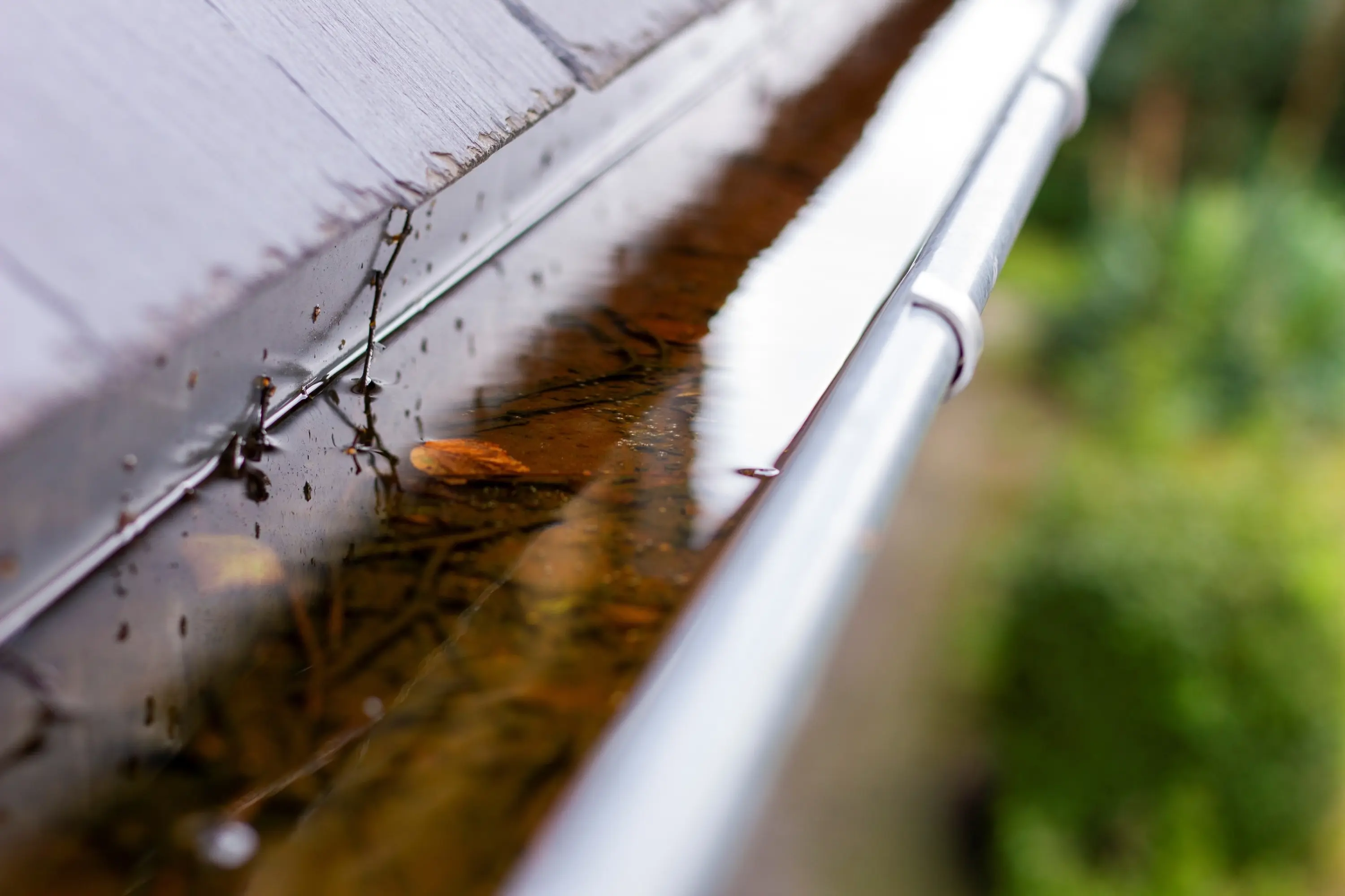 Gutter clogged with leaves and standing water