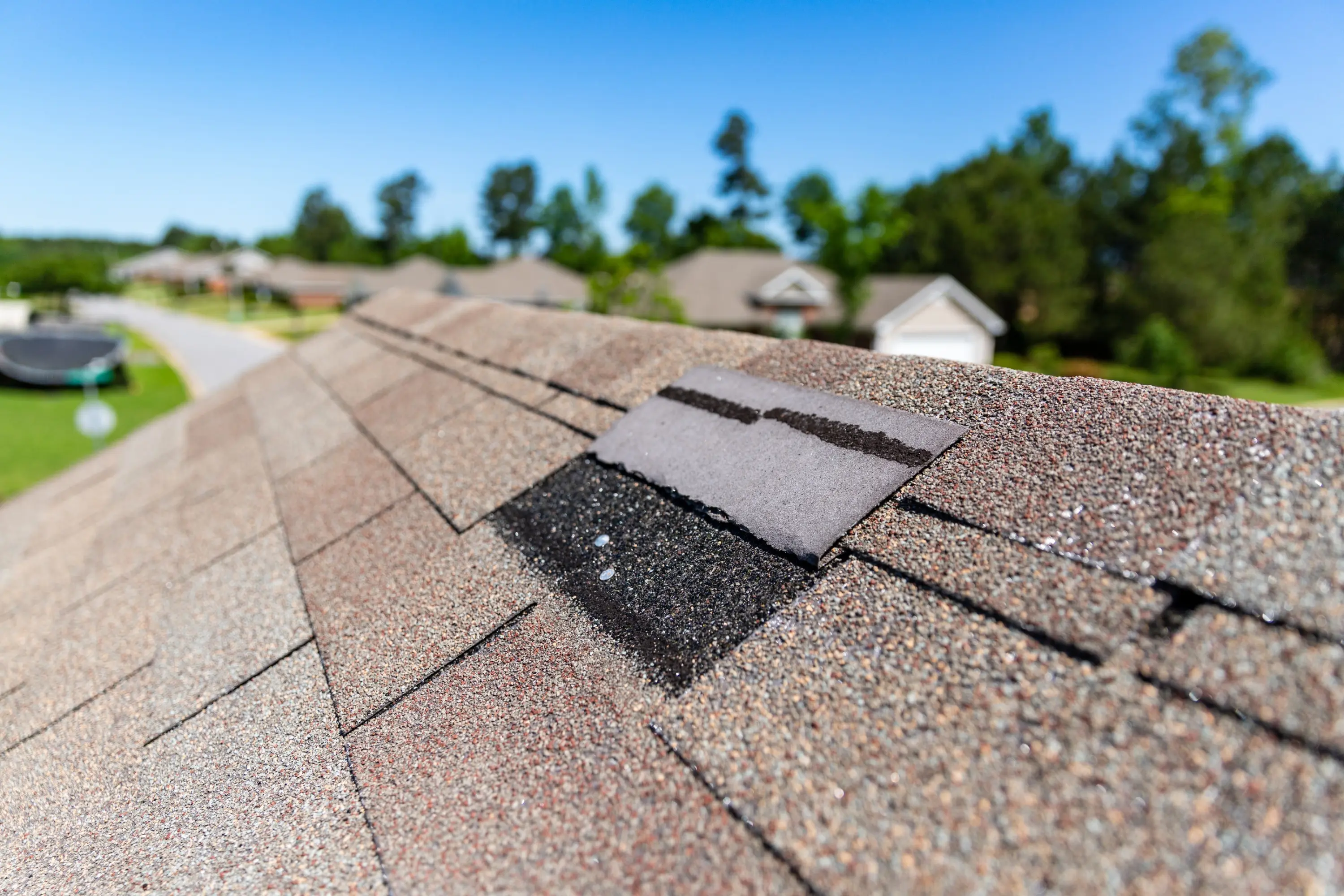 A single lifted shingle on a residential roof