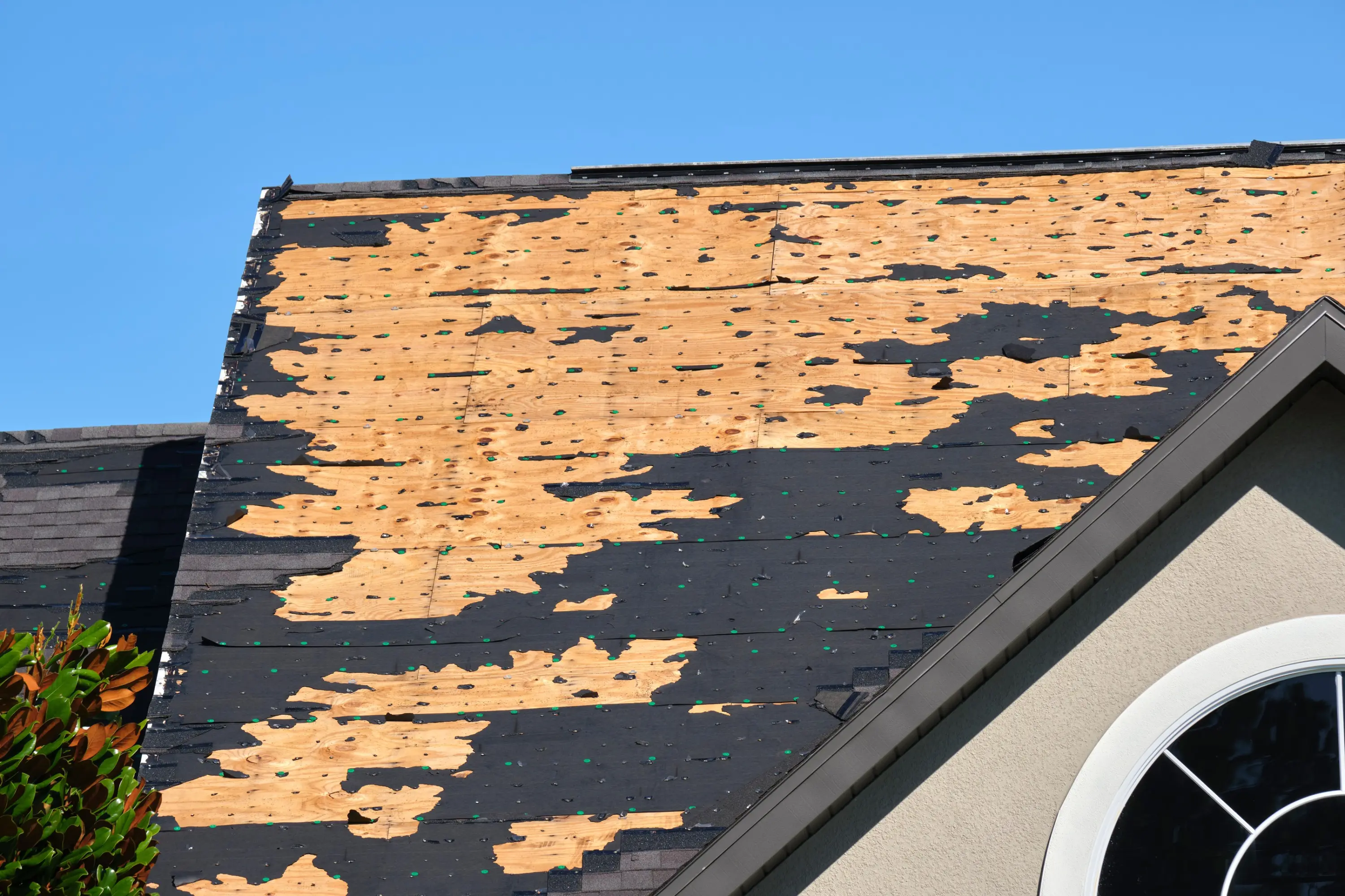 Asphalt shingles stripped by wind and hail, exposing the roof deck